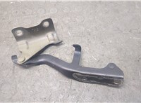 Петля капота Infiniti QX60 2013-2020 20679597 #2