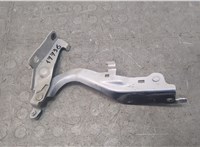  Петля капота Infiniti EX35 20679613 #1