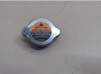  Пробка расширительного бачка Infiniti QX60 2013-2020 20679625 #1