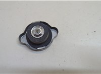  Пробка расширительного бачка Infiniti QX60 2013-2020 20679625 #2