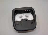 Фонарь салона (плафон) Chevrolet Trailblazer 2019- 20679861 #1