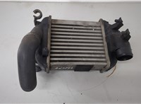  Радиатор интеркулера Audi A4 (B6) 2000-2006 20680272 #1