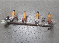  Форсунка топливная Daihatsu Terios 2 2006-2018 20680479 #1