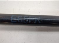  Амортизатор капота BMW 7 E65 2001-2008 20680682 #3