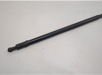  Амортизатор капота BMW 7 E65 2001-2008 20680683 #1