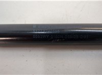  Амортизатор капота BMW 7 E65 2001-2008 20680683 #3