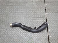 13717604033 Патрубок интеркулера BMW X4 F26 2014-2018 20680708 #1