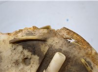  Насос топливный электрический Ford Explorer 2001-2006 20680994 #7