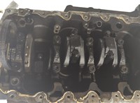 Блок цилиндров (Шорт блок) Volkswagen Crafter 2006-2016 20681240 #12