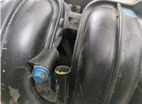 1525706, 4M5G6006BAD Двигатель (ДВС на разборку) Ford Focus 2 2008-2011 20681451 #19