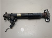 HG9Z18125B, HG9C18W002 Амортизатор подвески Lincoln MKZ 2016-2020 20681464 #1