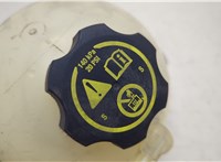  Бачок расширительный Chevrolet Equinox 2017-2024 20681985 #2