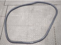 GP5Z54253A10A Уплотнитель Lincoln MKZ 2016-2020 20682448 #1