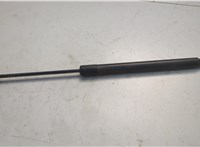 904531CA0A Амортизатор крышки багажника Infiniti FX 2008-2013 20682775 #1