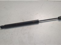 904521CA0A Амортизатор крышки багажника Infiniti FX 2008-2013 20682776 #1