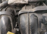 1525706, 4M5G6006BAD, RM4M5G6006BAD Двигатель (ДВС) Ford Focus 2 2008-2011 20683375 #12