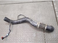 FL346F073BK Патрубок интеркулера Ford F-150 2014-2020 20684331 #1