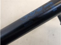  Амортизатор крышки багажника Chevrolet Equinox 2017-2024 20684606 #3