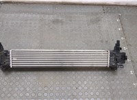 42805213 Радиатор интеркулера Chevrolet Trailblazer 2019- 20686559 #1