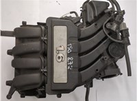  Коллектор впускной Seat Leon 2 2005-2012 20686784 #1