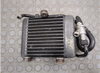 4D0317021C Радиатор масляный Volkswagen Phaeton 2002-2010 20687437 #1