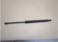 19184245 Амортизатор крышки багажника Pontiac Vibe 2 2008-2010 20687495 #1
