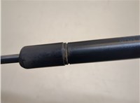 19184245 Амортизатор крышки багажника Pontiac Vibe 2 2008-2010 20687495 #3