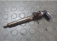  Форсунка топливная Renault Laguna 3 2007-2025 20687832 #1