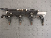  Форсунка топливная BMW 3 E46 1998-2006 20688933 #1