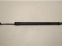  Амортизатор крышки багажника Lincoln Navigator 2006-2014 20689929 #1