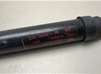  Амортизатор крышки багажника Lincoln Navigator 2006-2014 20689929 #2