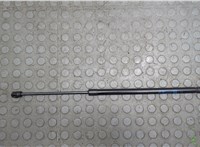  Амортизатор крышки багажника Chevrolet Trailblazer 2019- 20692869 #1