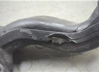165545RB1A Воздухозаборник Nissan Kicks 2016-2024 20692951 #3