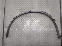  Молдинг крыла BMW X6 E71 2007-2014 20693466 #2