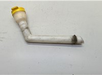 289150003R Горловина заливная бачка омывателя Renault Scenic 2009-2012 20694235 #2