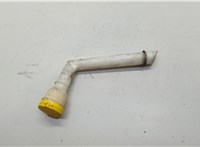 289150003R Горловина заливная бачка омывателя Renault Scenic 2009-2012 20694235 #5