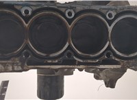 036103101AM Блок цилиндров (Шорт блок) Volkswagen Golf 4 1997-2005 20696682 #11
