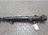  Рампа (рейка) топливная Alfa Romeo 159 2005-2011 20696880 #1