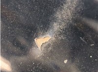  Форсунка омывателя стекла Toyota Sequoia 2008- 11550819 #3