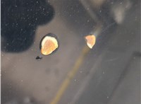  Форсунка омывателя стекла Toyota Sequoia 2008- 11550819 #4