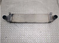  Радиатор интеркулера Land Rover Freelander 2 2006-2014 20699528 #1
