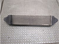  Радиатор интеркулера Land Rover Freelander 2 2006-2014 20699528 #7