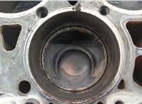  Блок цилиндров (Шорт блок) Volkswagen Touareg 2007-2010 20702977 #12