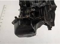  Блок цилиндров (Шорт блок) Volkswagen Polo 2001-2005 20702983 #5