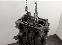  Блок цилиндров (Шорт блок) Volkswagen Polo 2001-2005 20702983 #6