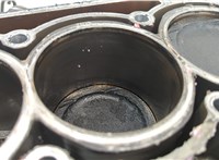  Блок цилиндров (Шорт блок) Volkswagen Polo 2005-2009 20703342 #10