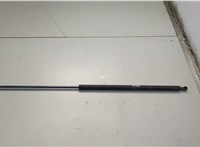 534500C020 Амортизатор капота Toyota Sequoia 2007-2022 20703746 #1