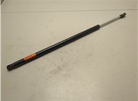 689070C010 Амортизатор крышки багажника Toyota Sequoia 2008- 20703831 #1