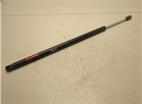 689080C010 Амортизатор крышки багажника Toyota Sequoia 2008- 20703926 #1