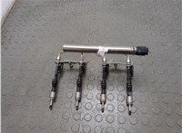 13647597870, 13648625397 Форсунка топливная BMW 3 F30 2012-2019 20705381 #1